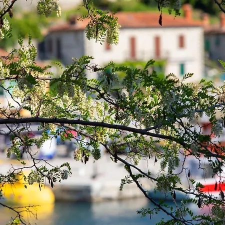 Vakantiehuis Casa Santo E Albina *