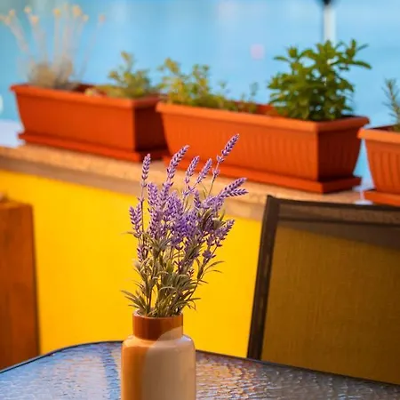 Casa Santo E Albina Feriehus